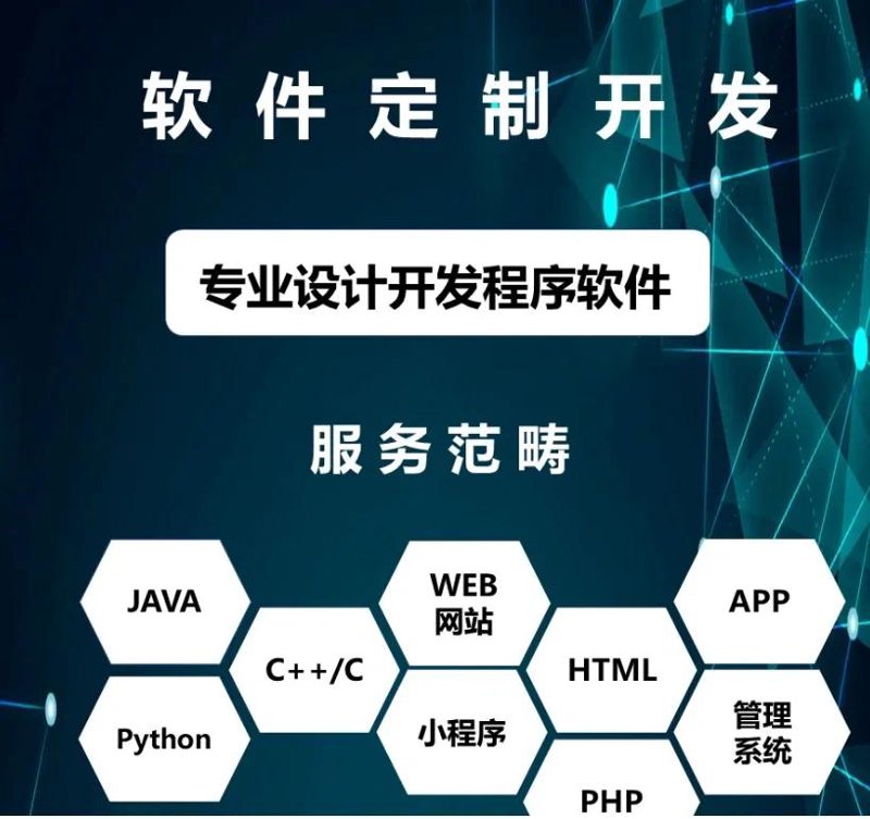 软件定制开发——企业数字化转型的秘密武器